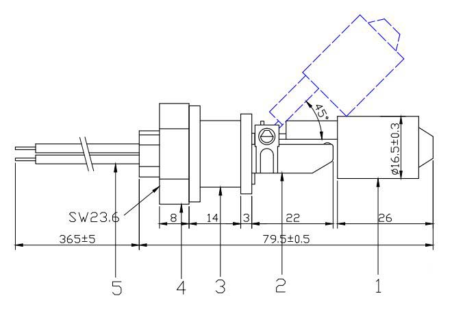 DH21